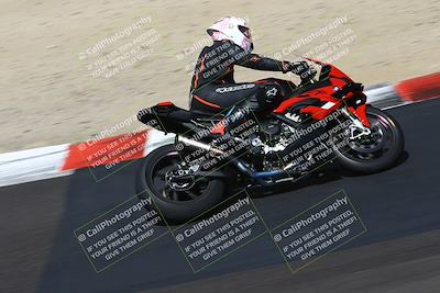 media/Aug-31-2024-TrackDaz (Sat) [[d39206e9d9]]/B plus Group/1220p (Turn 6)/